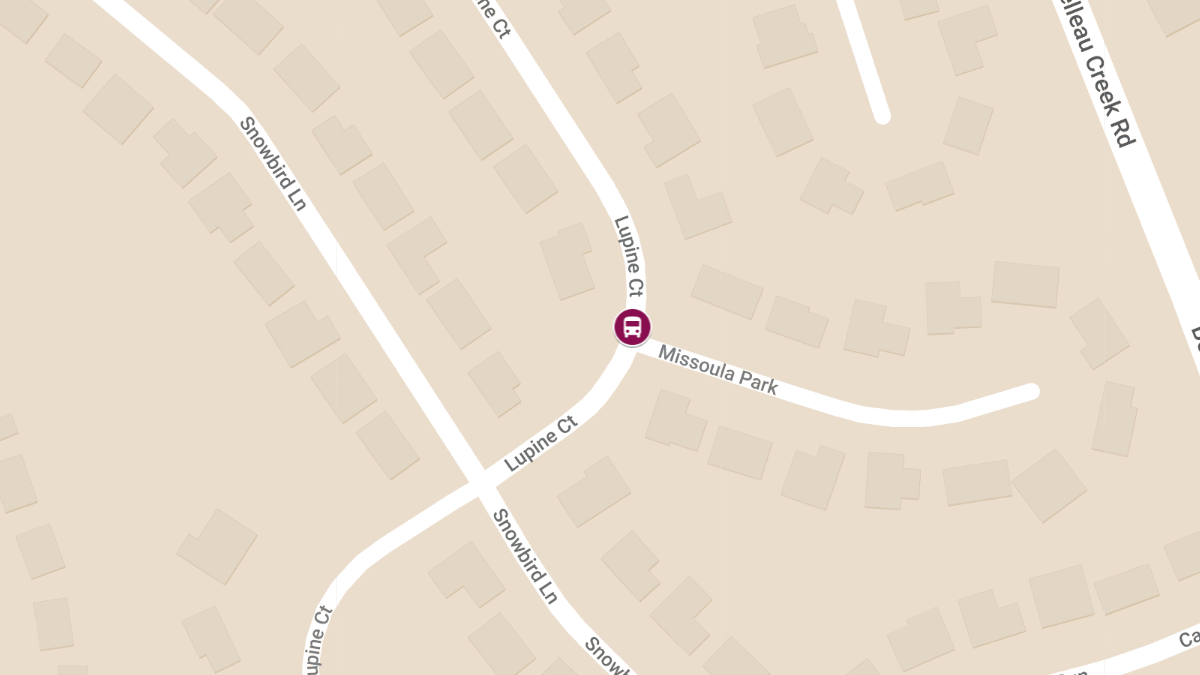 Tragic School Bus Accident on Lupine Ct