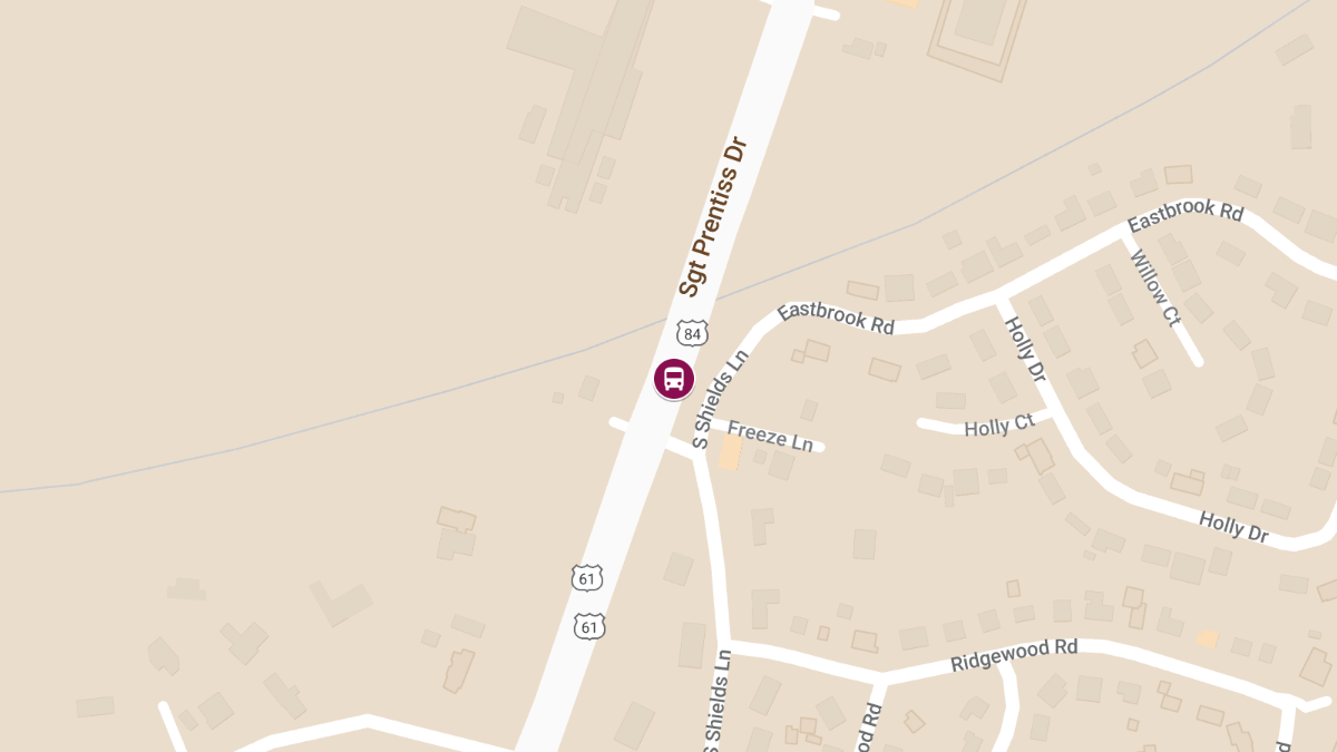Two-Vehicle Collision with School Bus on U.S. 84