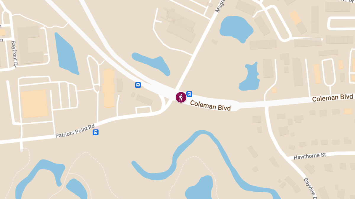 Pedestrian Killed in Crash on W Coleman Blvd near Magrath Darby Blvd