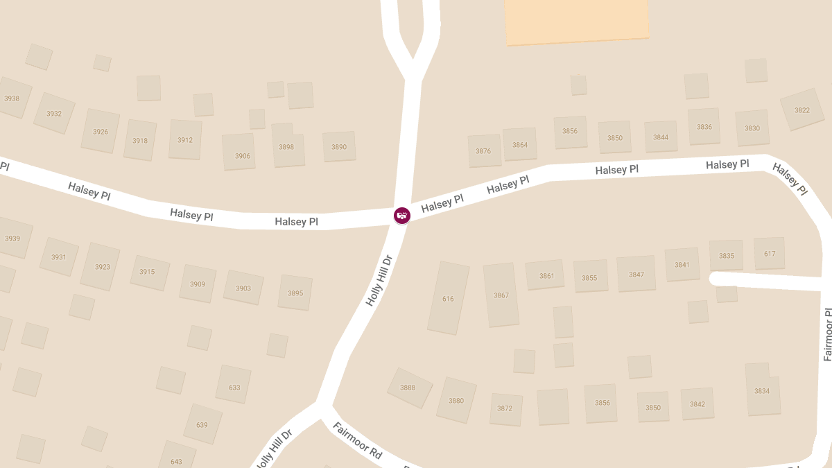 Accident With Injuries at Holly Hill Dr & Halsey Pl