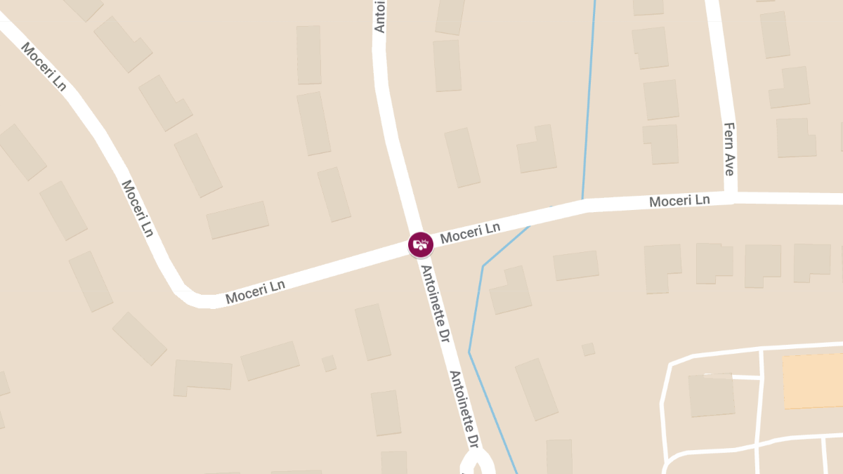 Accident at Antoinette Dr & Moceri Ln