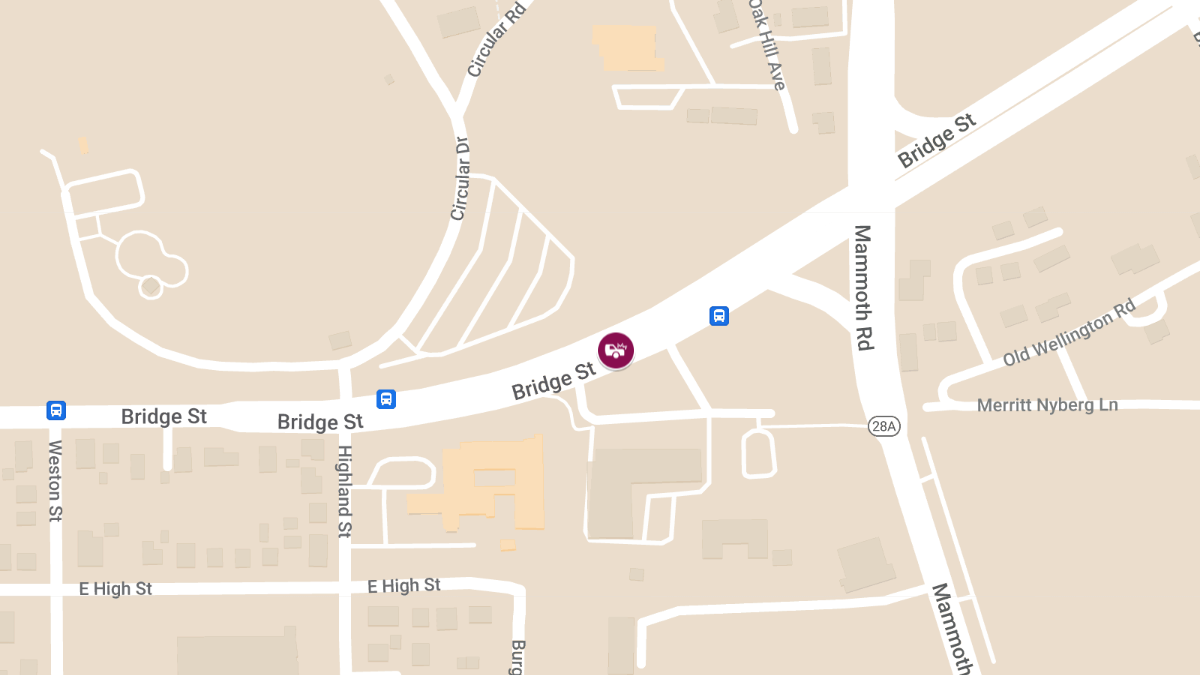Accident with Injury at 581 Bridge St & Trinity