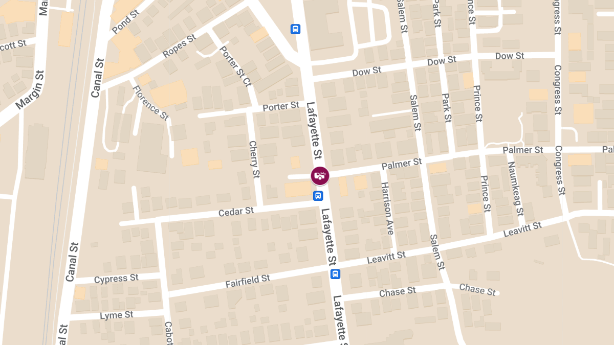 Auto vs Pedestrian Accident With Serious Injuries on Lafayette St at Palmer St
