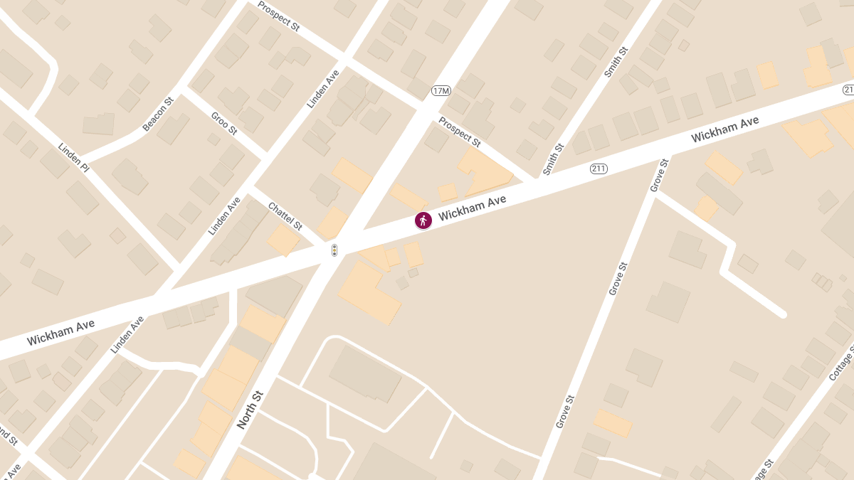 Car vs. Pedestrian Accident on Wickham Ave