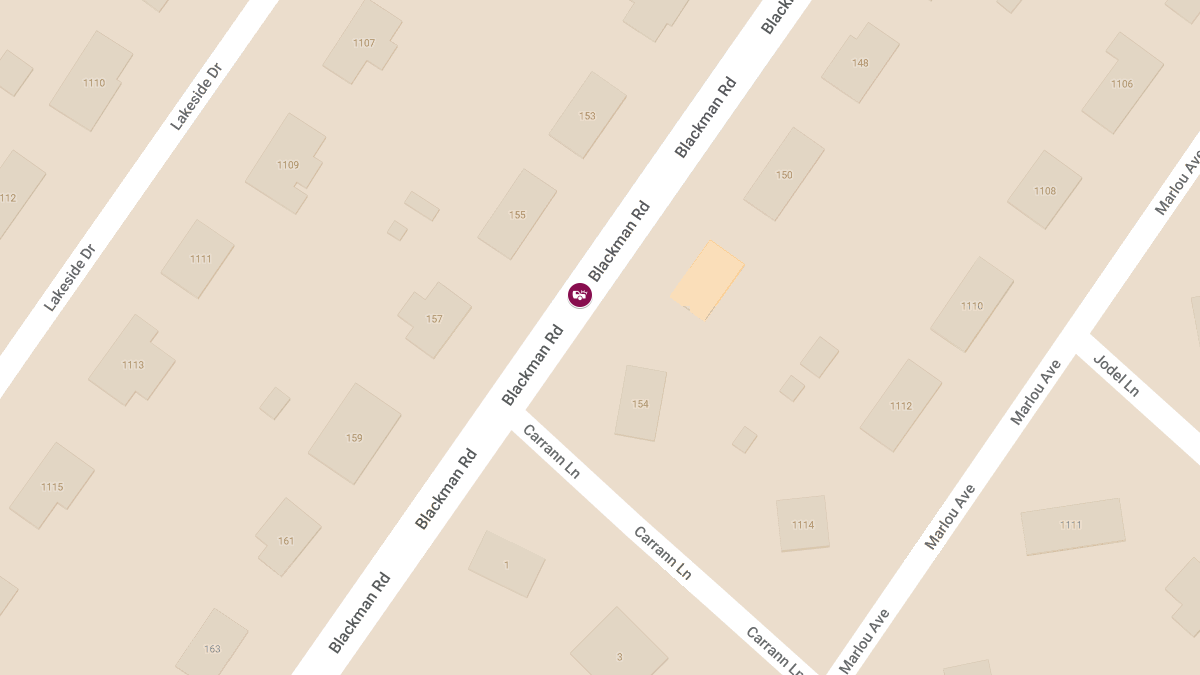 Fatal Head-On Collision on Blackman Rd Between Brookside Dr & Meadow Dr