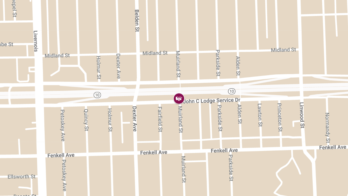 Fatal Head-On Crash at John C Lodge Fwy