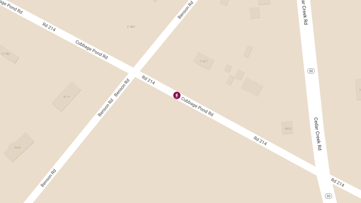 Fatal Hit-and-Run on Cubbage Pond Rd Claims Life of Milford Man