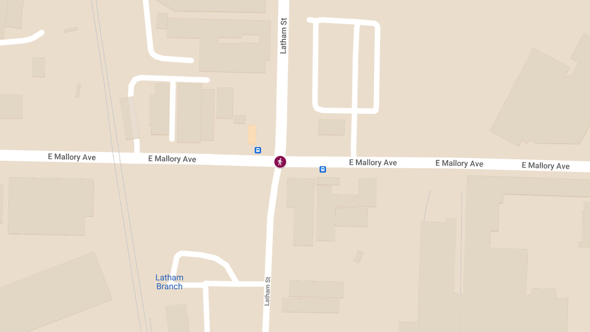 Fatal Hit-and-Run on E. Mallory Ave & Latham St