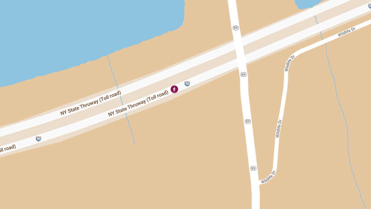 Fatal Hit-and-Run on New York State Thruway