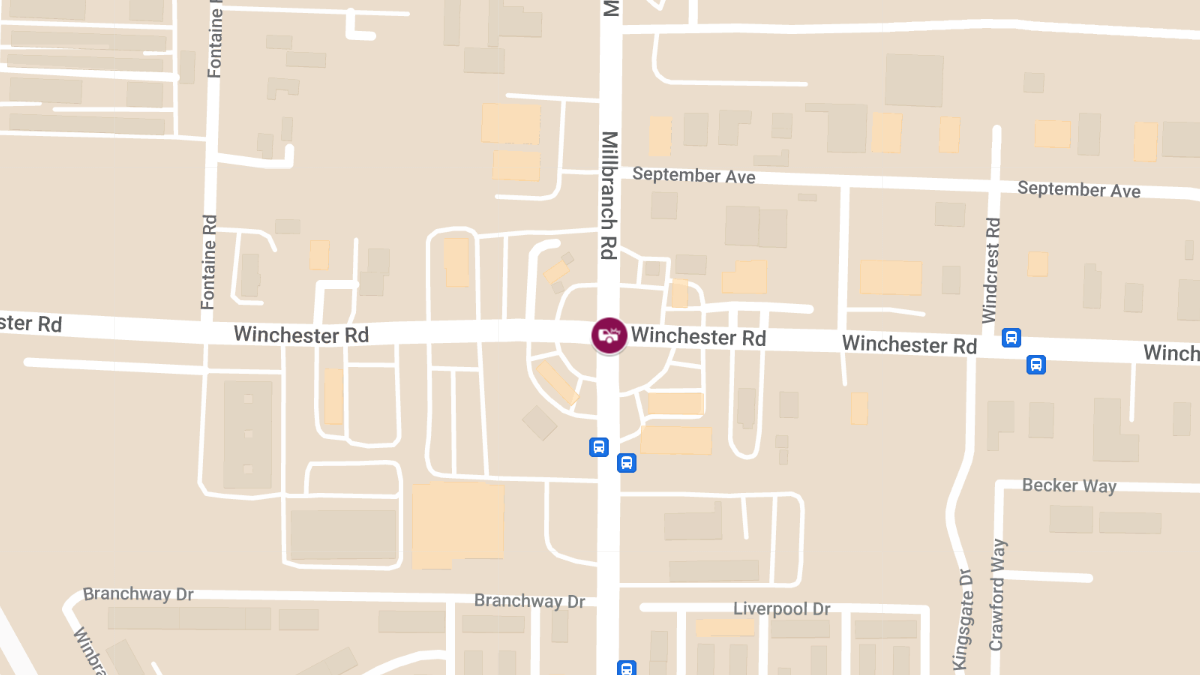 Fatal Multi-Vehicle Crash at Winchester Rd and Millbranch Rd