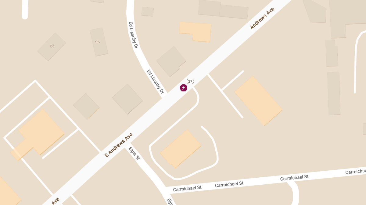 Fatal Pedestrian Accident on Alabama 27