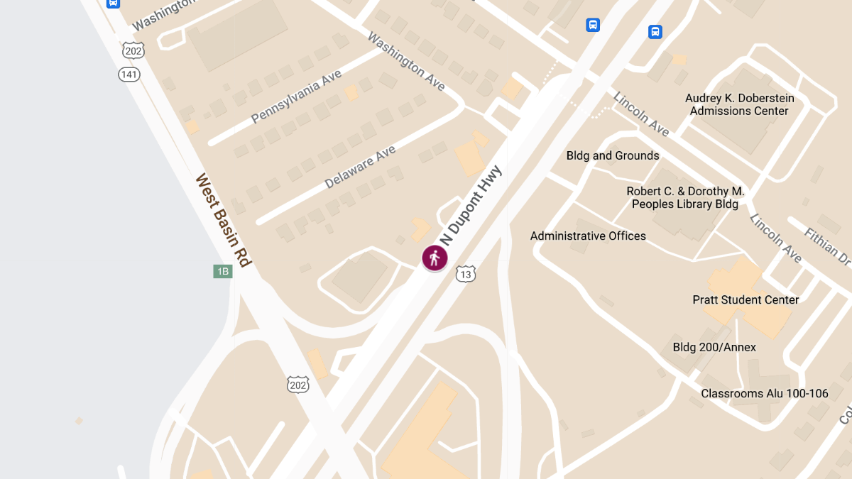 Fatal Pedestrian Crash on North Dupont Hwy