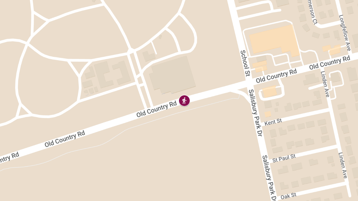 Fatal Pedestrian Crash on Old Country Road