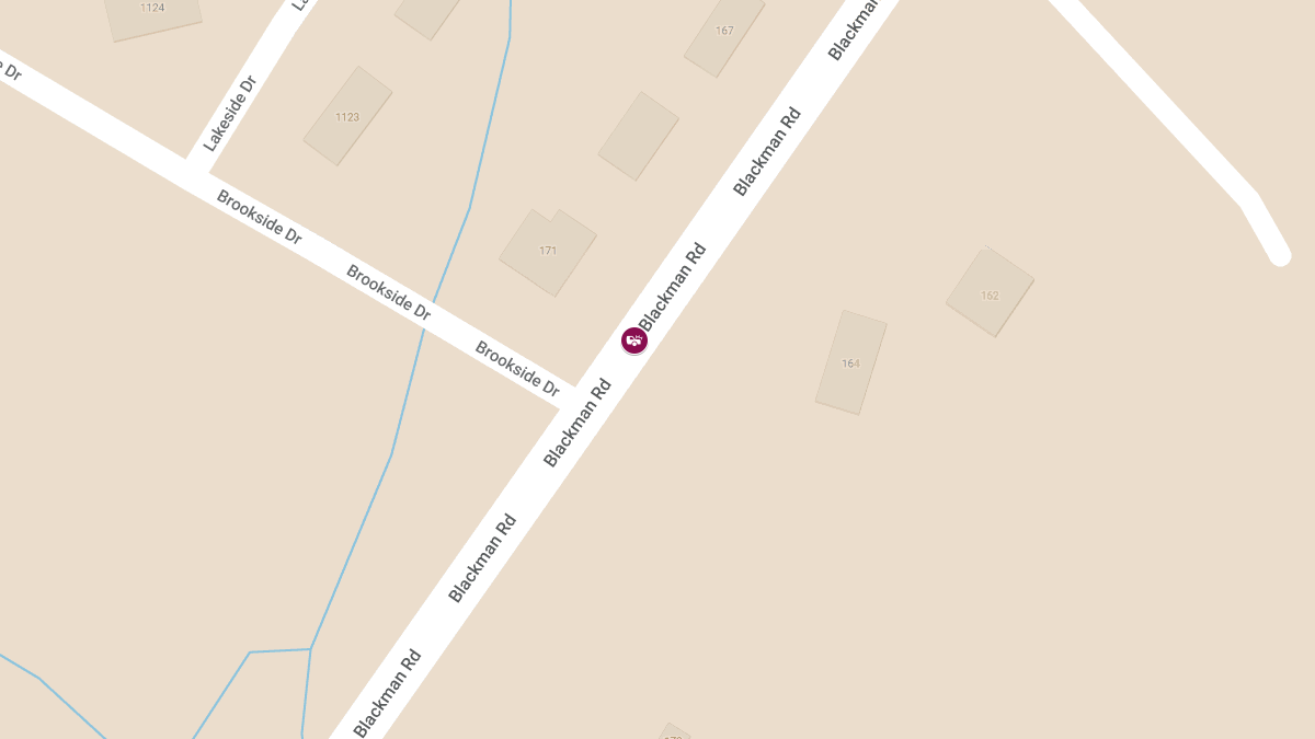 Fatal Wrong-Way Collision on Blackman Rd Claims One Life, Injures Others