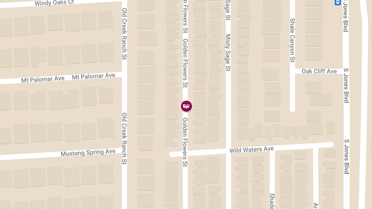 Injuries in Collision at 8206 Golden Flowers St