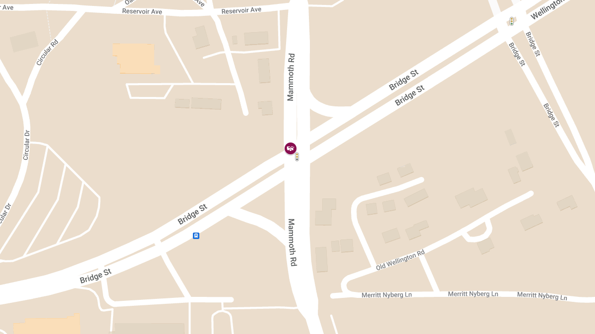 Injuries in Vehicle Rollover at Mammoth Rd & Bridge St