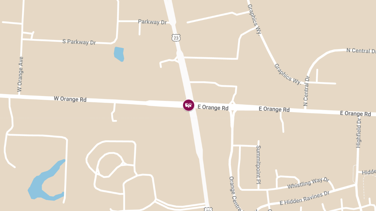 Injury Auto Accident at Columbus Pike & W Orange Rd