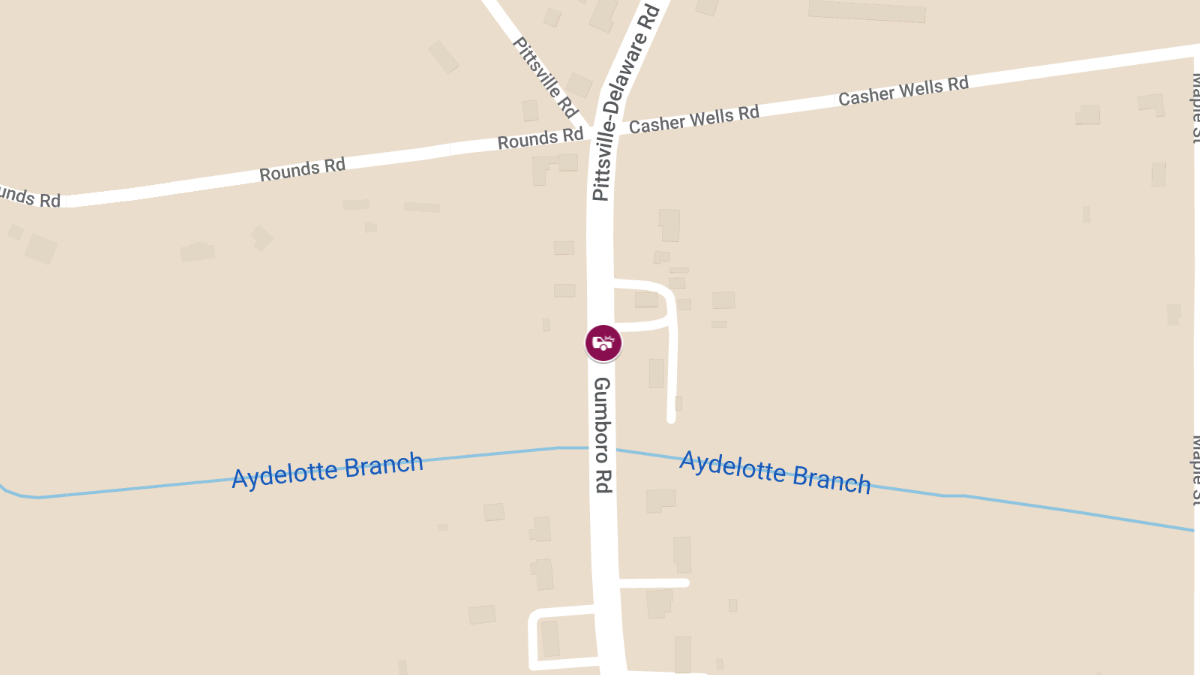 Motor Vehicle Crash with Injuries on Gumboro Rd