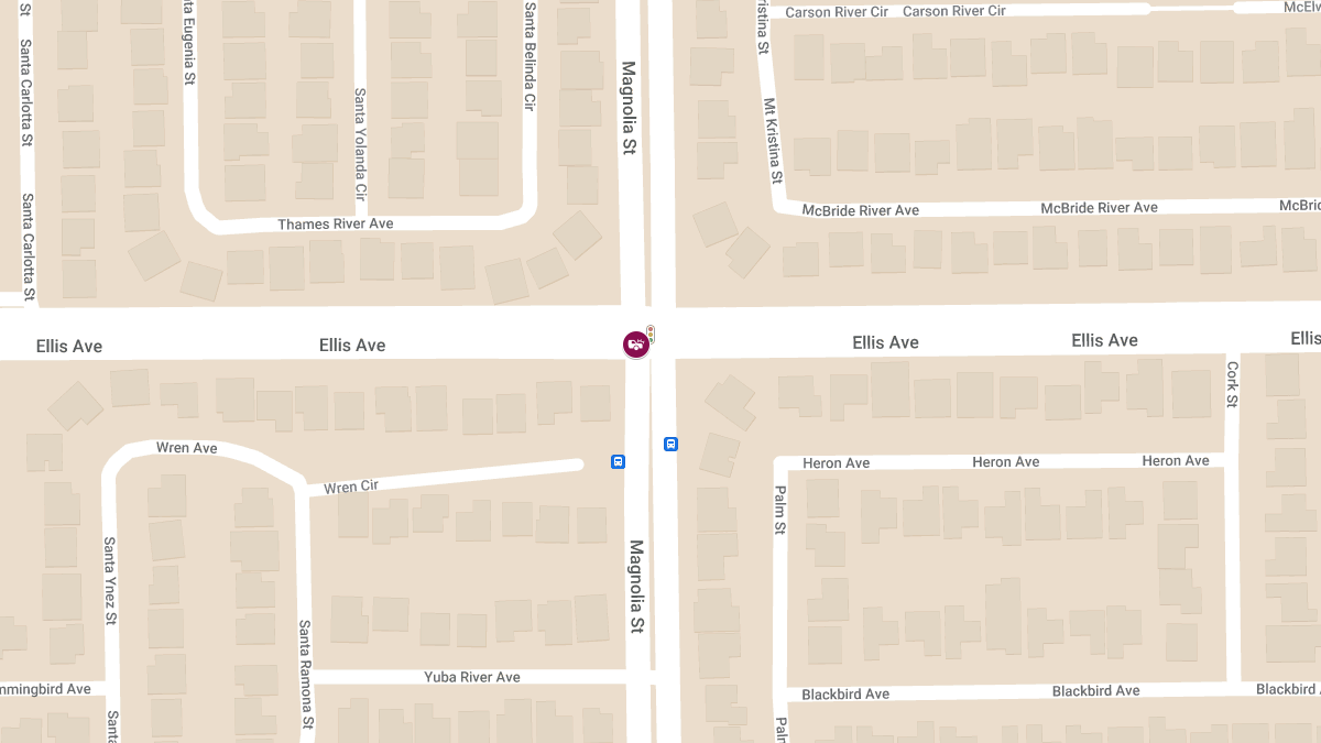 Multi-Car Crash with Fatality at Ellis Ave & Magnolia St