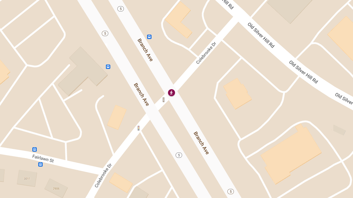 Pedestrian Accident at Branch Ave & Colebrooke Dr