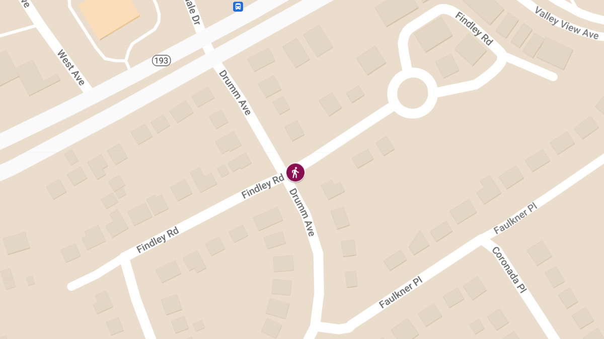 Pedestrian Accident at Drumm Ave & Findley Rd