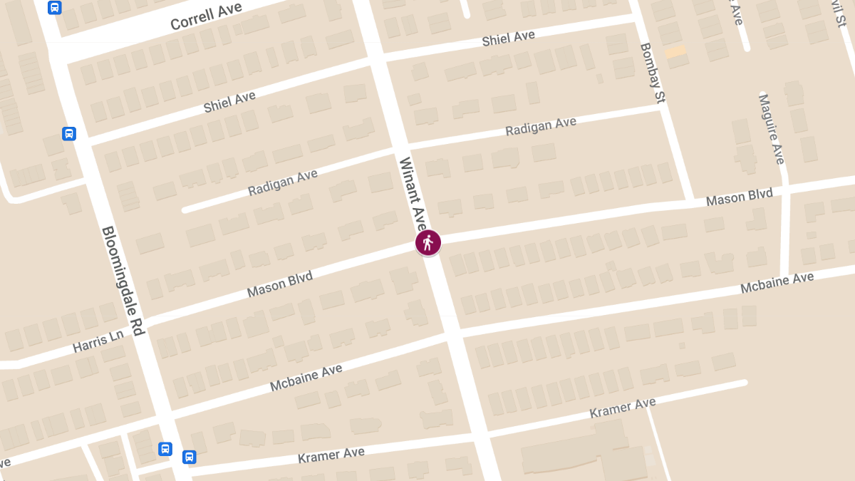 Pedestrian Accident at Winant Ave & Mason Blvd