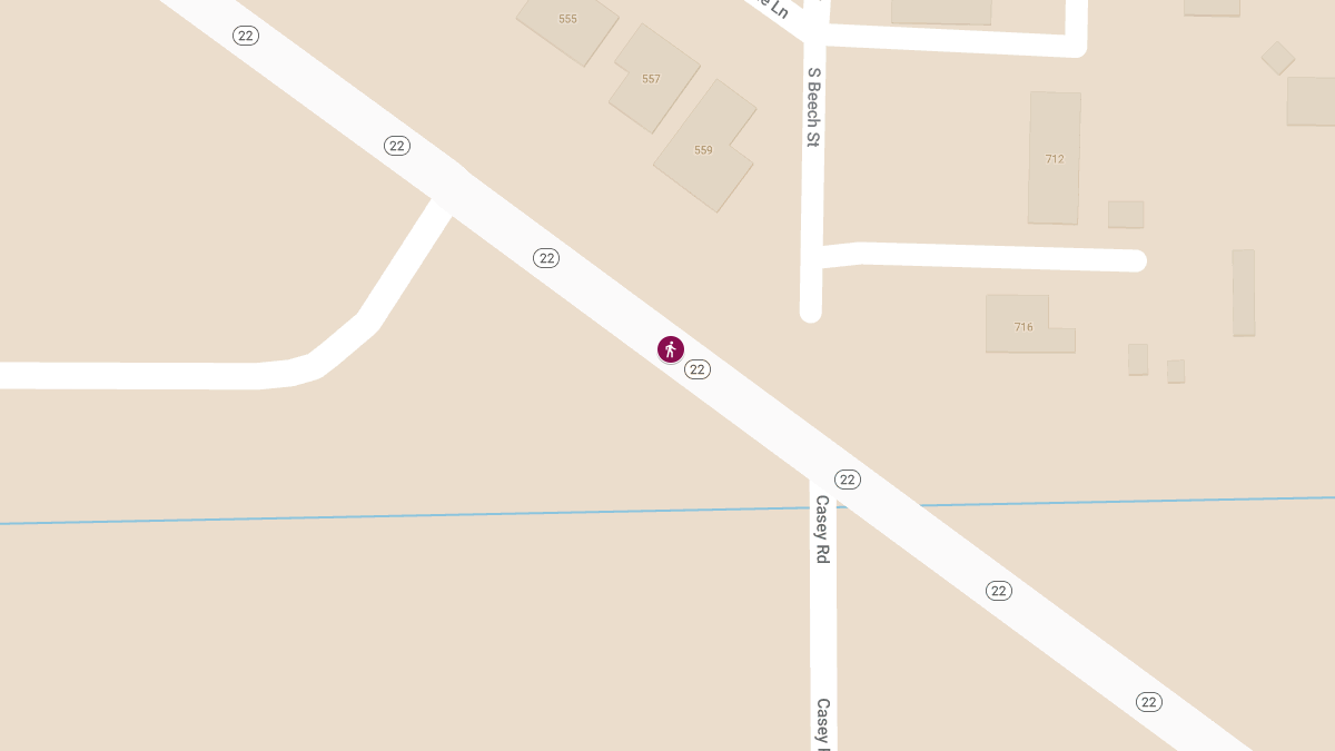 Pedestrian Fatality on State Route 22 West of Casey Rd