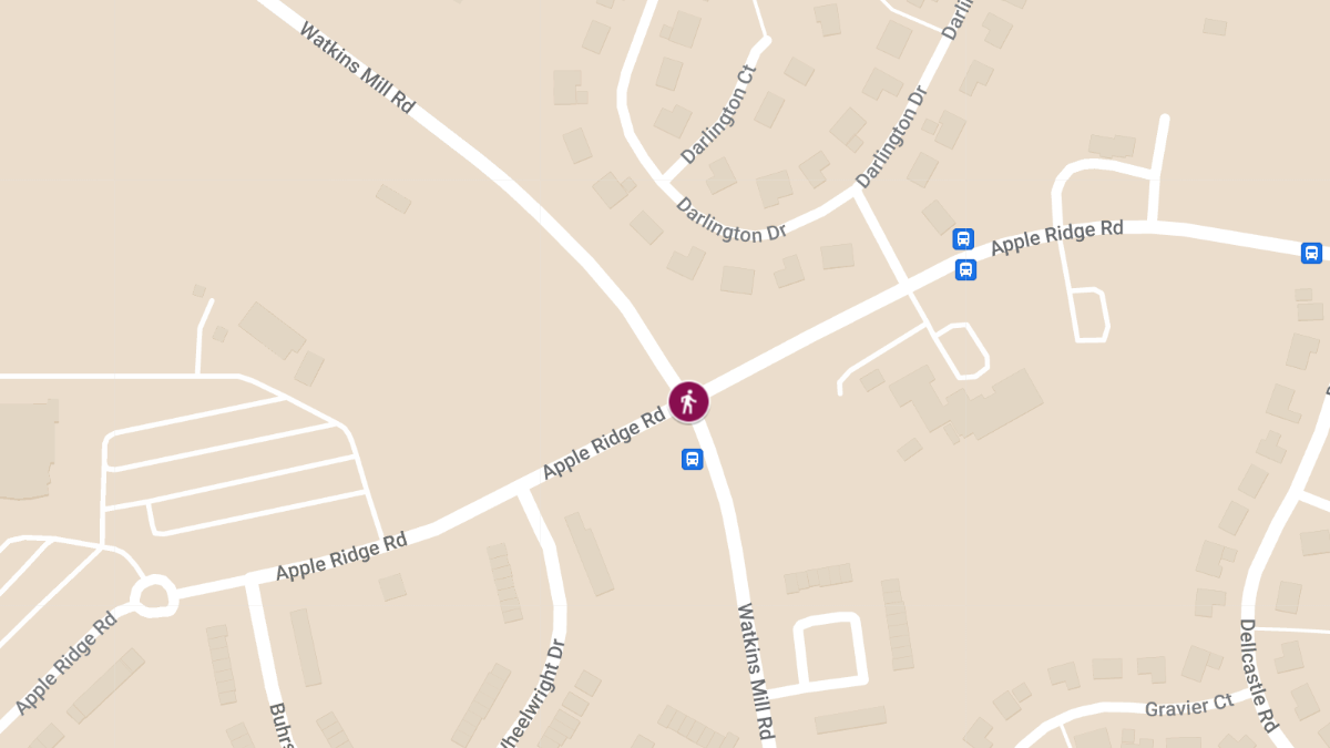 Pedestrian Injured in Collision at Apple Ridge Rd & Watkins Mill Rd