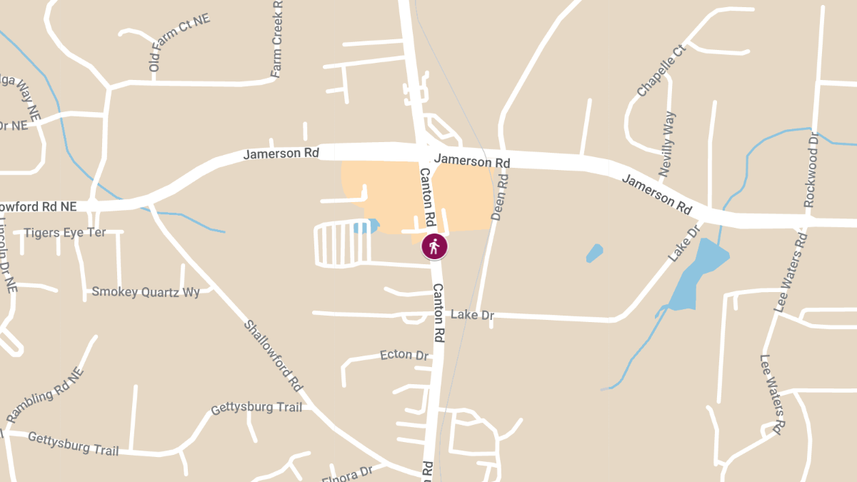 Pedestrian Killed in Collision on Canton Rd near Jamerson Rd