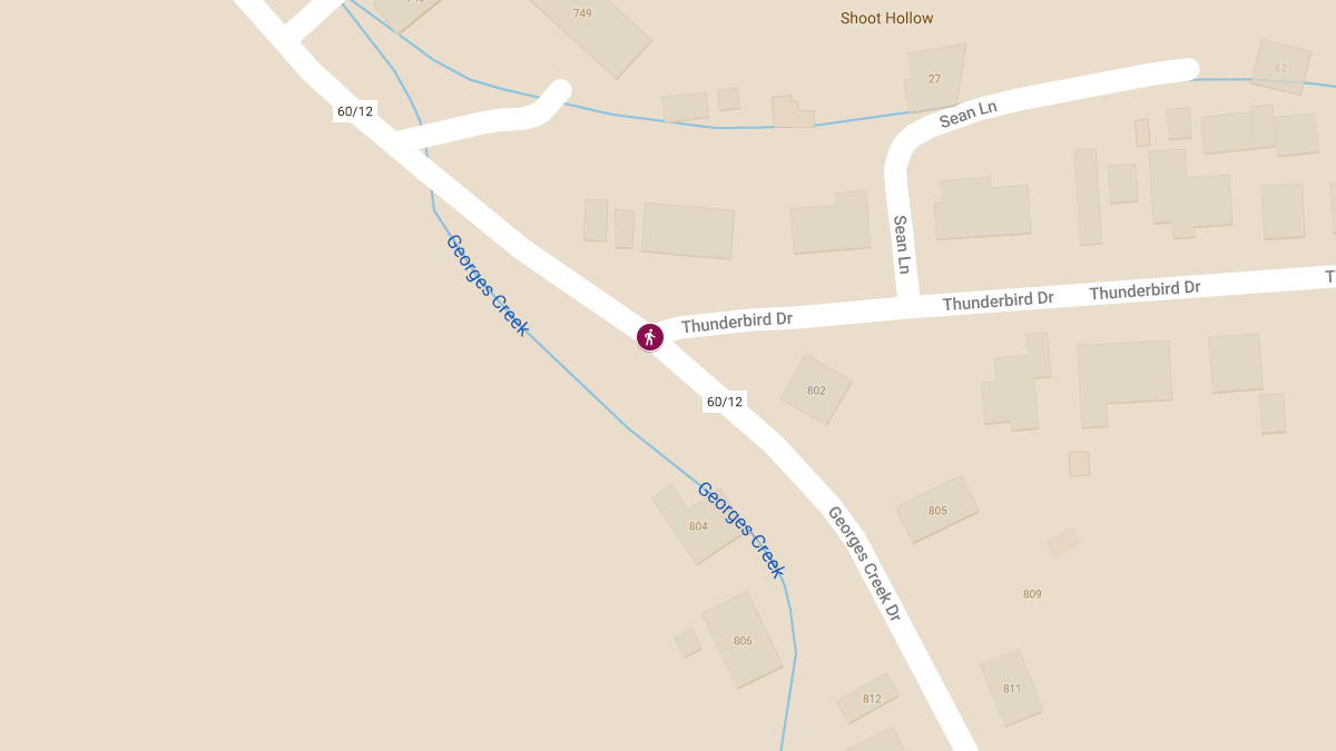 Pedestrian Struck at Thunderbird Dr & Georges Creek Dr