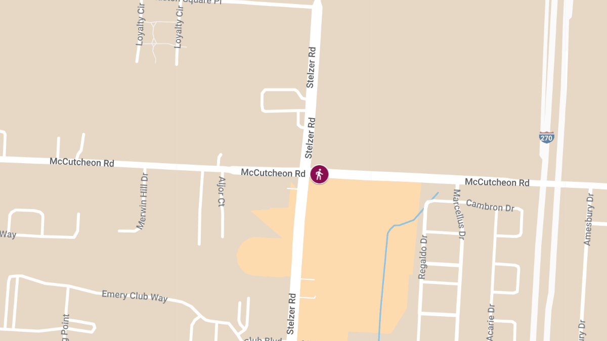 Pedestrian Struck by Vehicle at Stelzer Rd & McCutcheon Rd