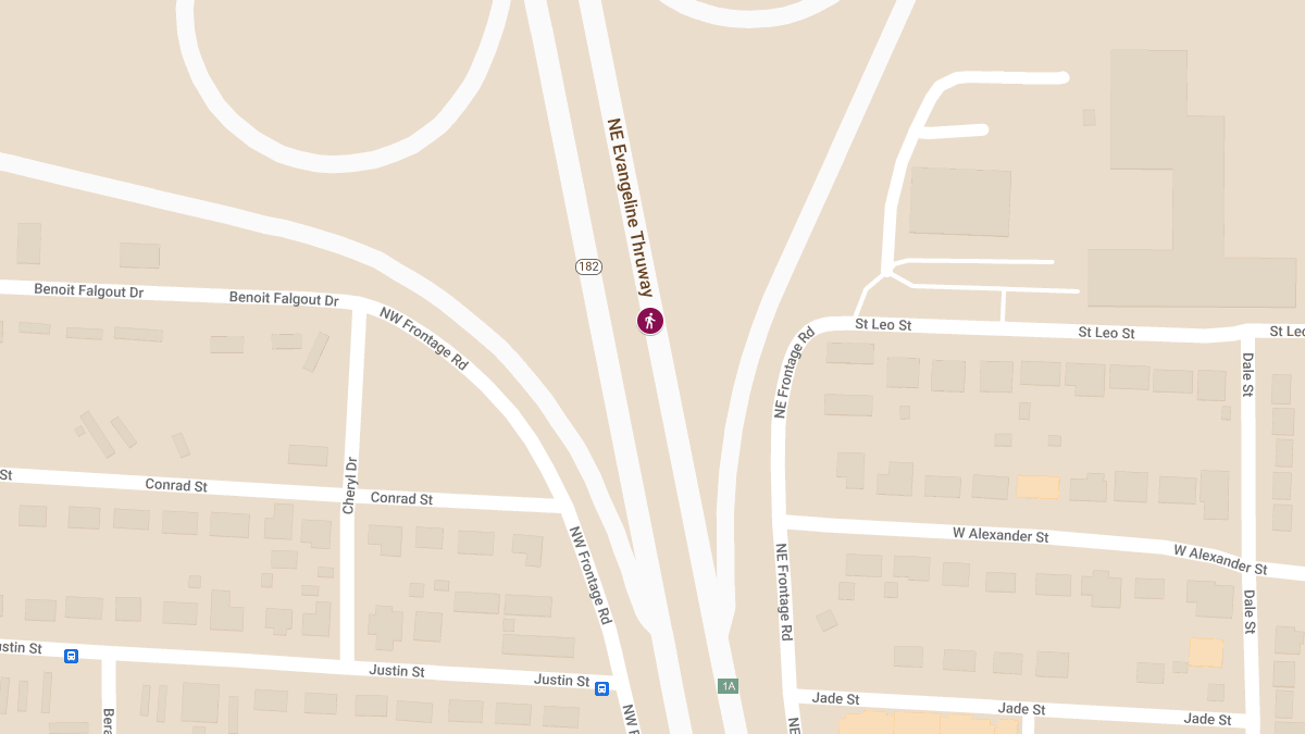 Pedestrian Struck by Vehicle on NE Evangeline Thruway