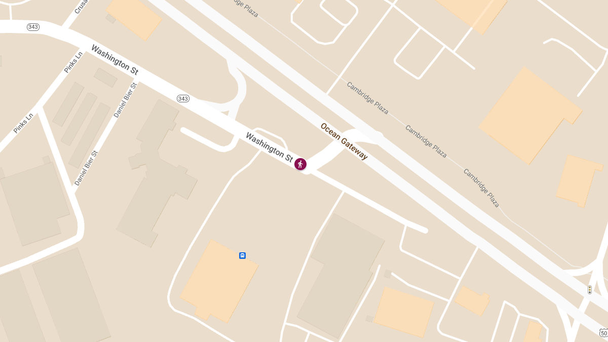 Pedestrian Struck by Vehicle on Washington St Near Food Lion