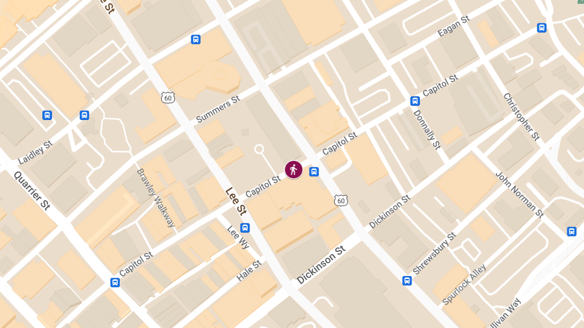 Pedestrian Struck on Capitol St