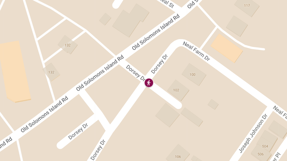Pedestrian Struck on Dorsey Dr Near Old Solomons Island Rd