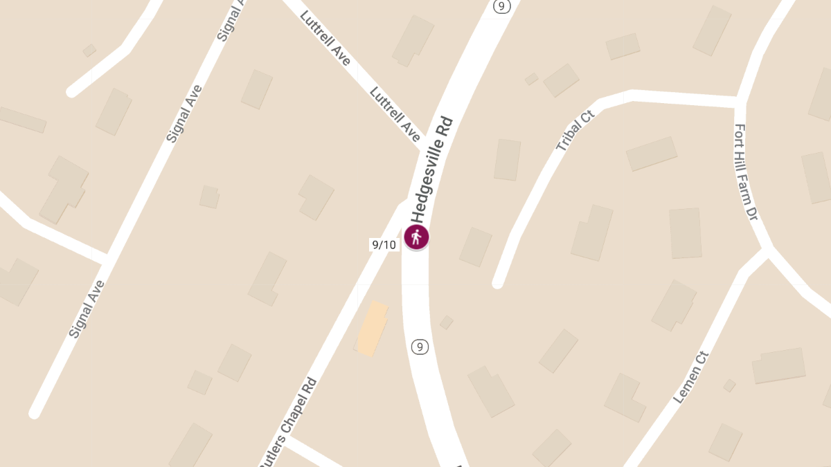 Person Struck by Vehicle on Hedgesville Rd