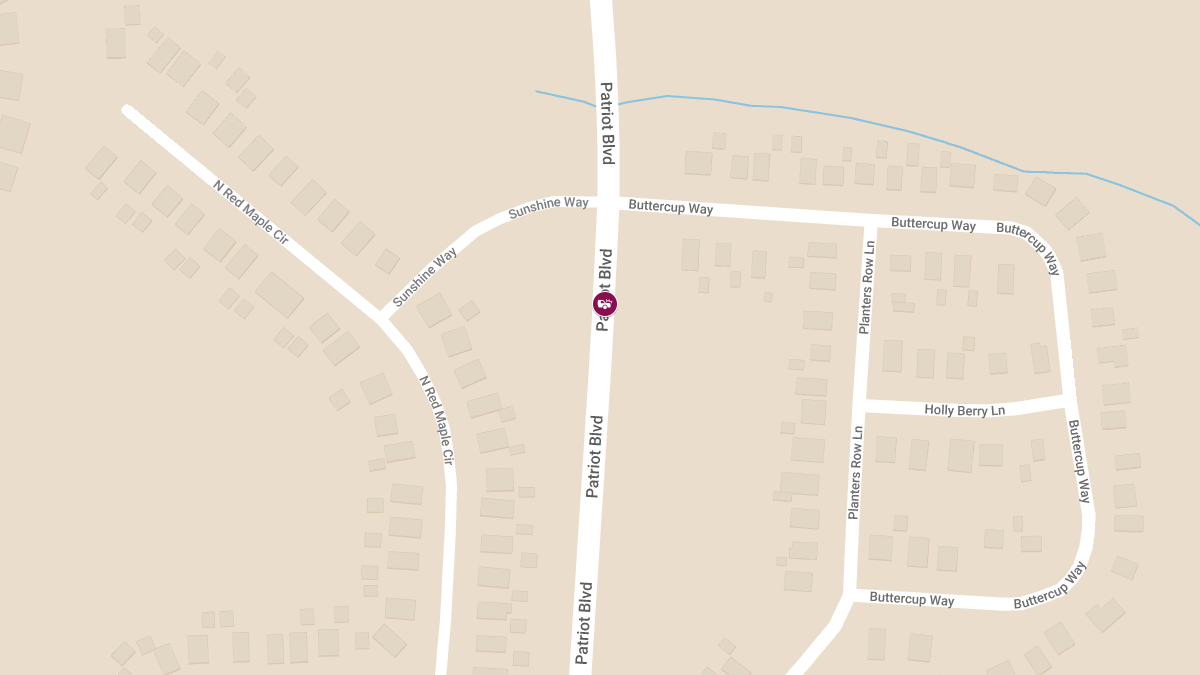 School Bus Collision with Injuries on Patriot Blvd
