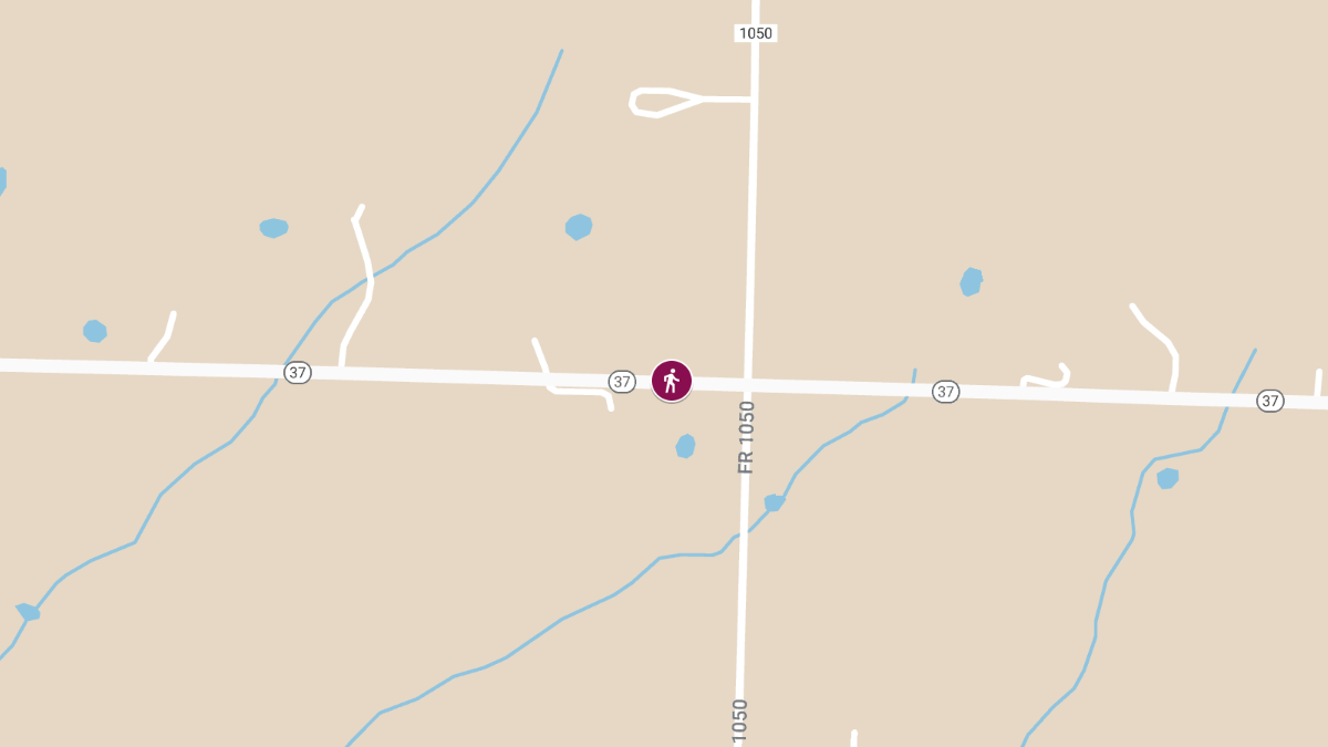 Two-Vehicle Collision on Hwy 37 South of Monett