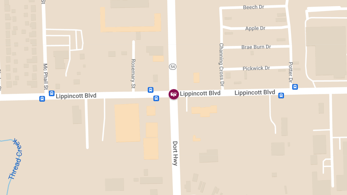 Vehicle Accident Injury at S Dort Hwy & Lippincott Blvd