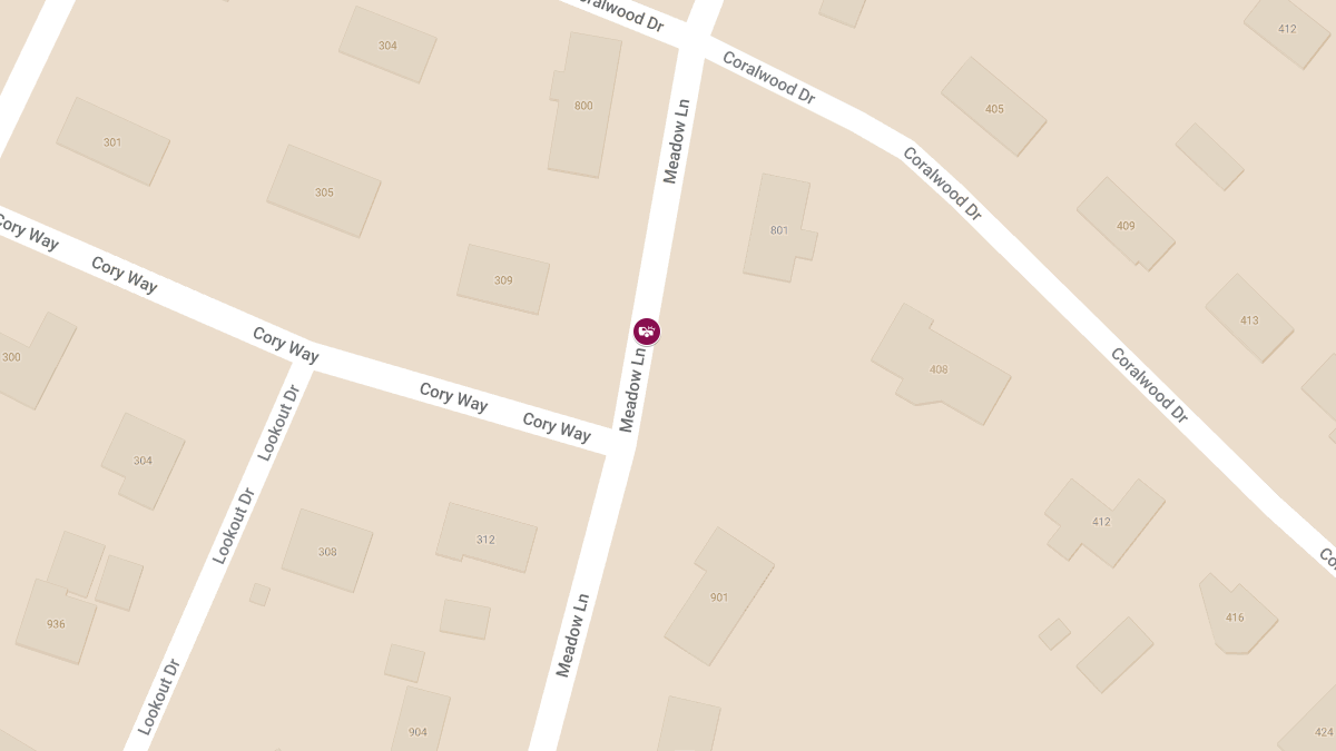 Vehicle Crash on Meadow Ln Leads to Injuries