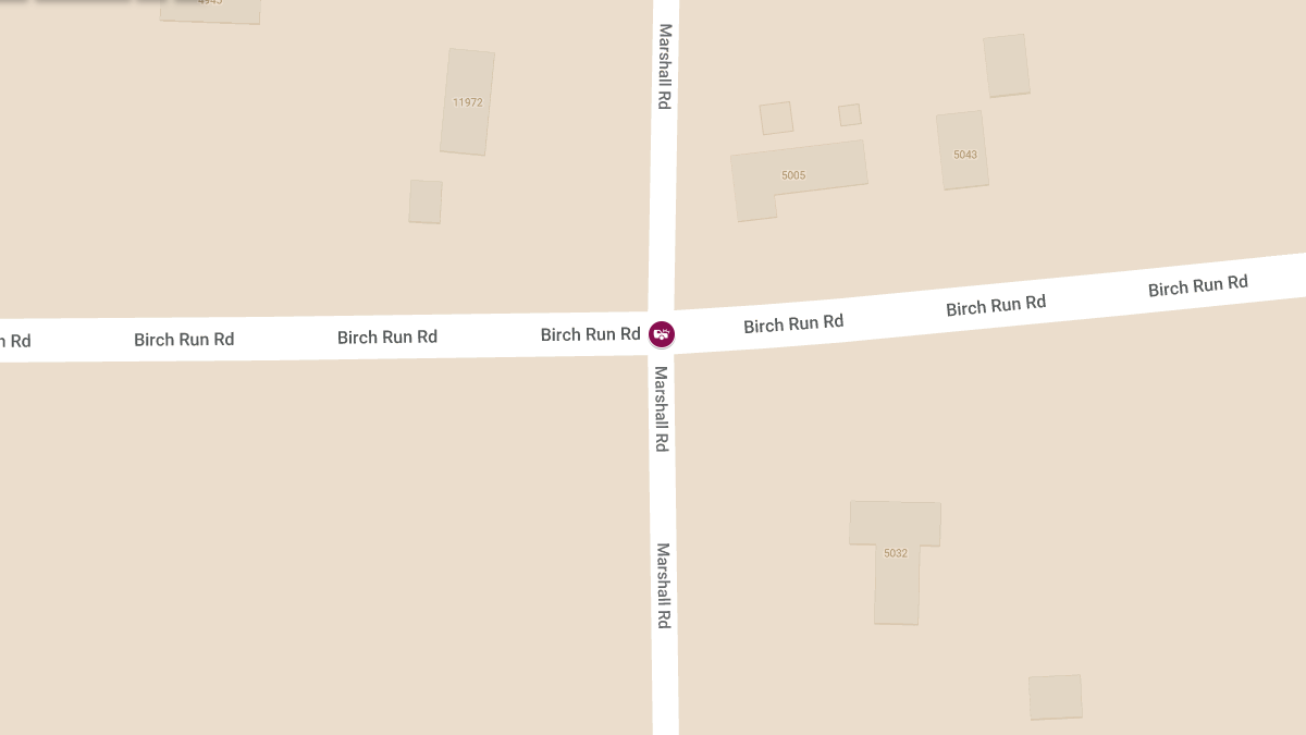Vehicle Crash with Injuries Reported at Birch Run and Marshall