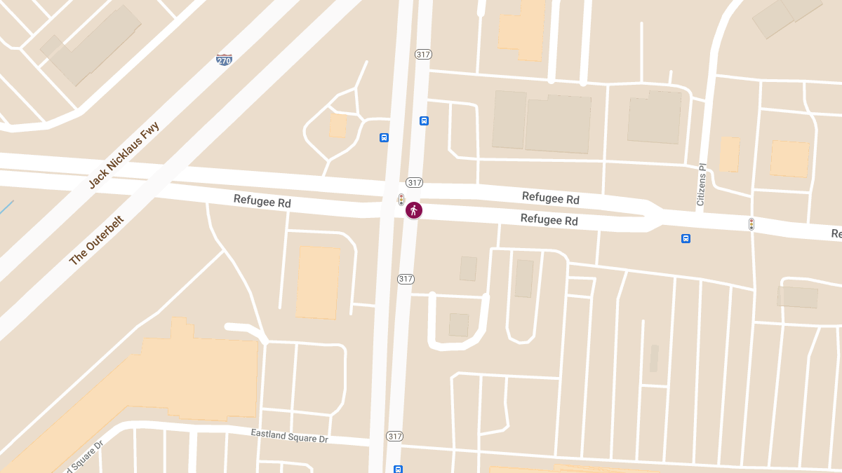 Vehicle Hit Pedestrian at S Hamilton Rd & Refugee Rd