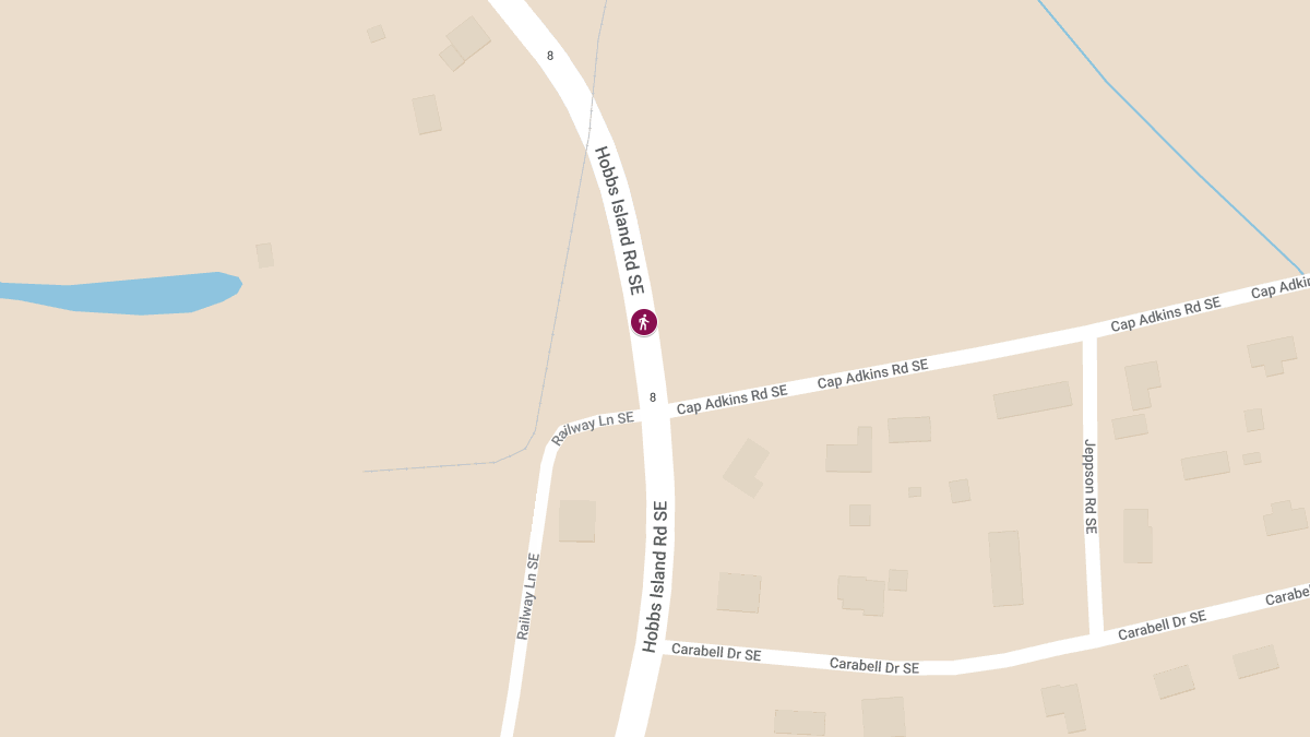 Vehicle vs Pedestrian Accident at 1200 Block of Hobbs Island Rd