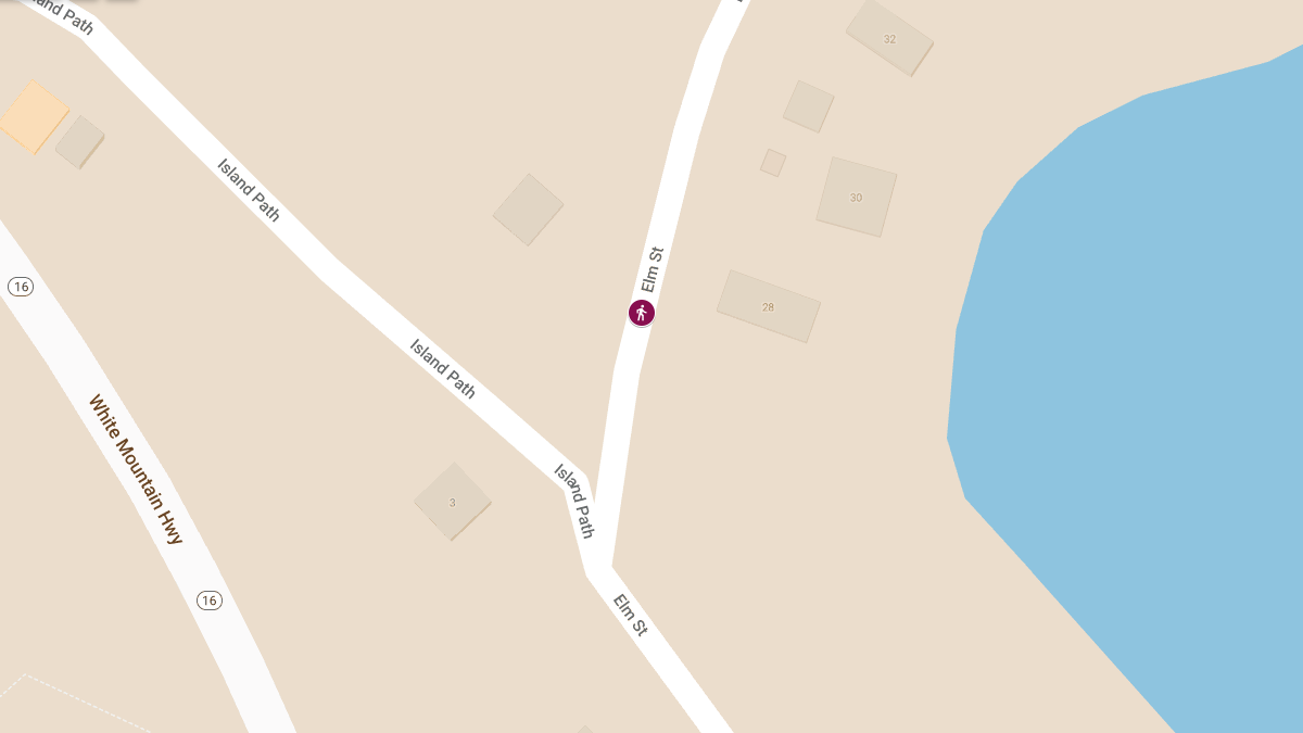 Vehicle vs Pedestrian Accident at 38 Elm St