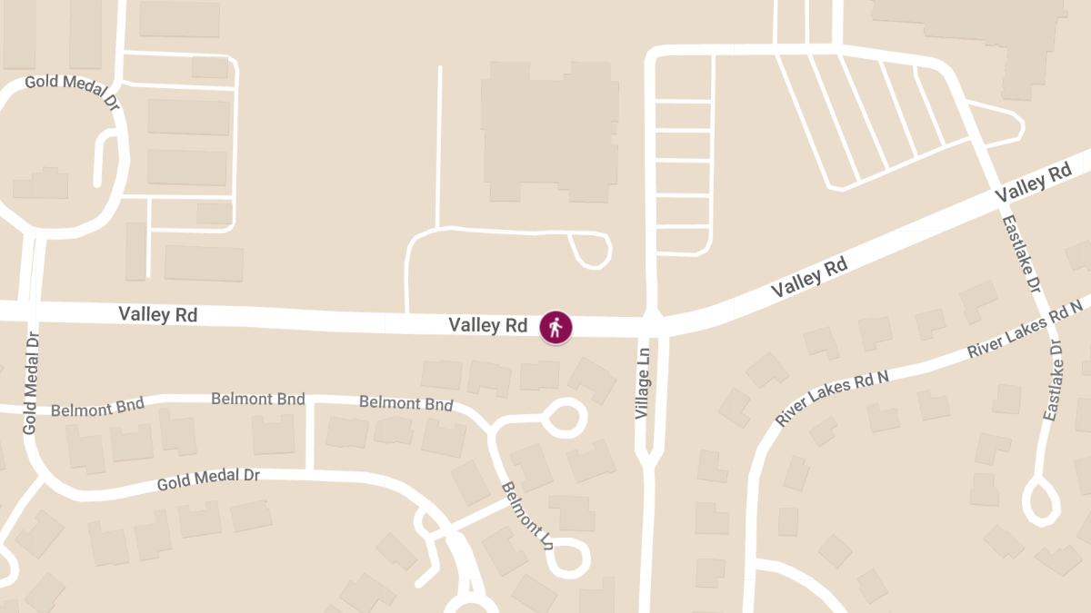 Vehicle vs Pedestrian Accident at Summit Elementary School Causes Injuries