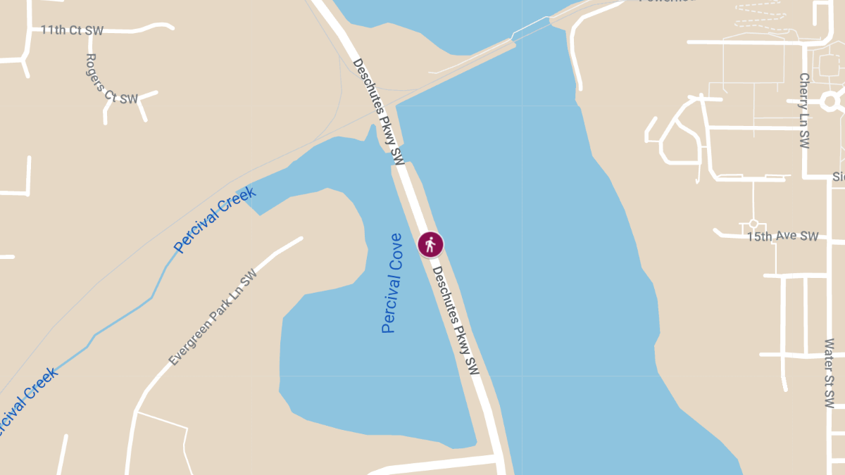 Vehicle vs. Pedestrian Accident on Deschutes Parkway