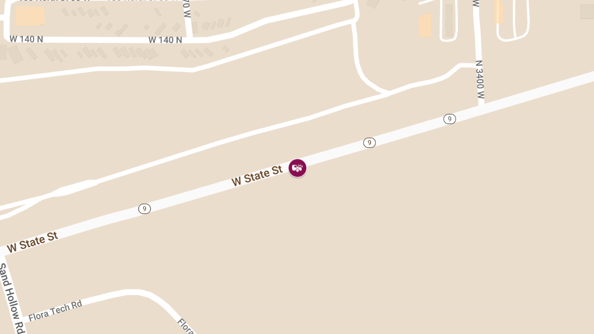 Vehicle vs. Pedestrian Crash with Injuries on W State St