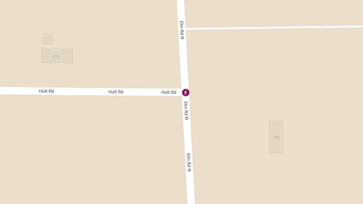 Woman Fatally Struck by Vehicle at Holt and Elm Rd