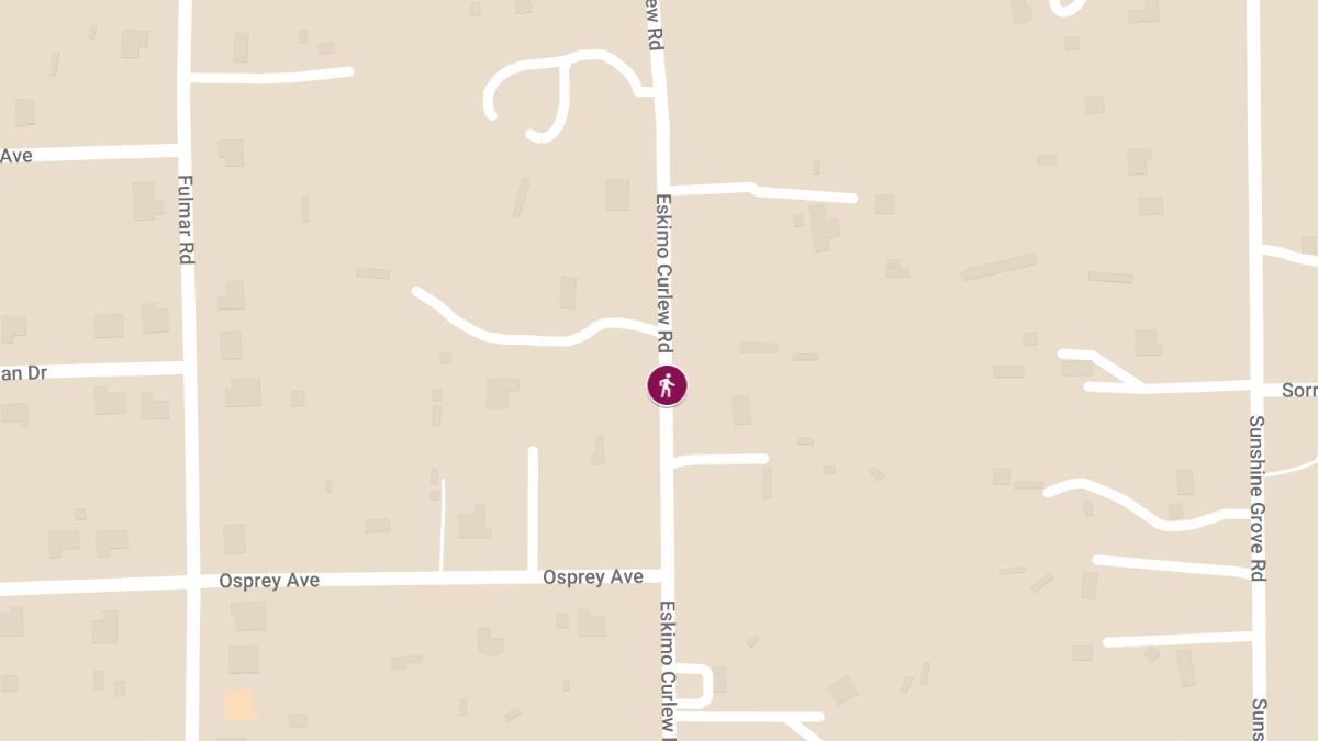 11-Year-Old Girl Seriously Injured in Pedestrian Crash on Eskimo Curlew Rd
