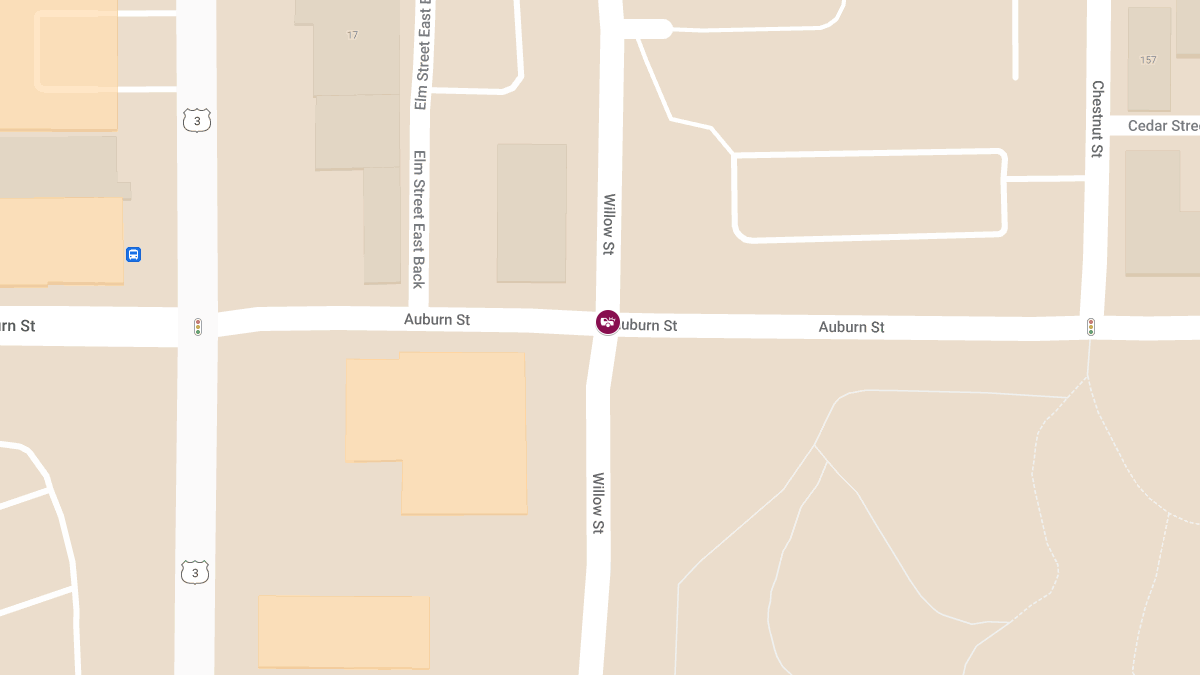 Accident with Injury at Auburn St & Willow St